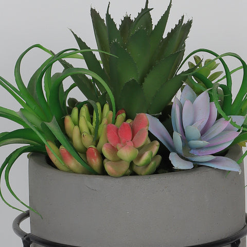 5.0*10.0‘’Succulent Greenery Décor