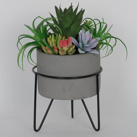 5.0*10.0‘’Succulent  Greenery Décor