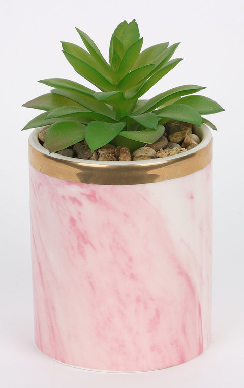 3*6''Greenery Succulent Arrangement Décor