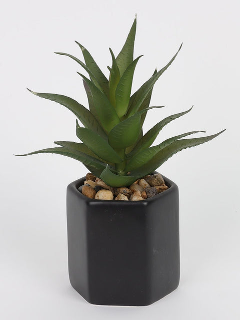 2.875*7''Greenery Arrangement Décor