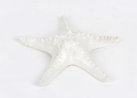 Décoration étoile de mer 6.625''x1.625''