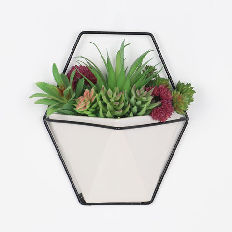 7.5*4.5*9'' DÉCOR MURAL DE SUCCULENTES DE VERDURE
