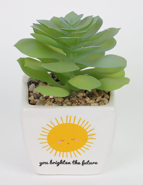 4*5.5''Greenery Succulent Arrangement Décor