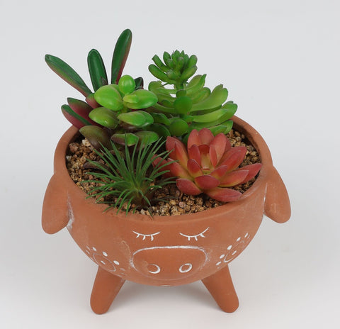5,5 * 5,25 * 6,25 DÉCOR DE TABLE SUCCULENTE