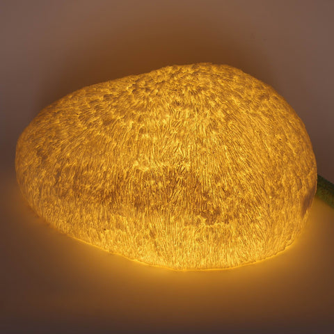 10*7*13'' Christmas Lighted Coral Decor