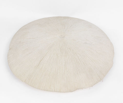 17.75''x2.75'' Coral décor