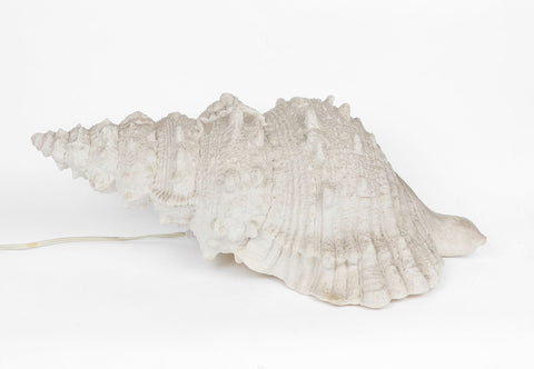 26''x12.75''x9.25'' Decorative Light up conch