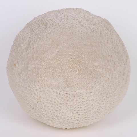 10.25*9.25'' Christmas Lighted Coral Décor