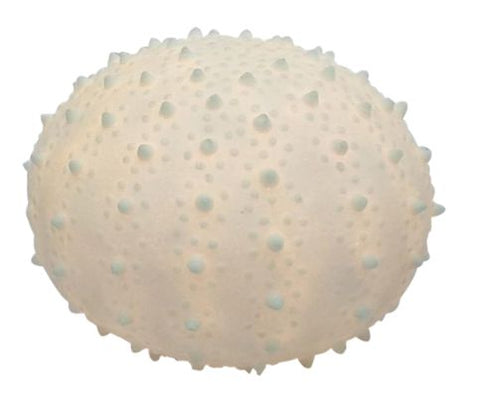 9"x6.5" white table décor