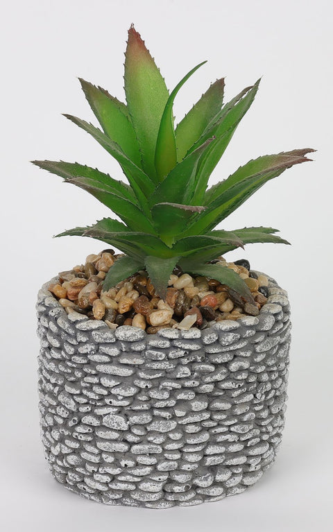 3.875*7''Greenery Succulent Arrangement Décor