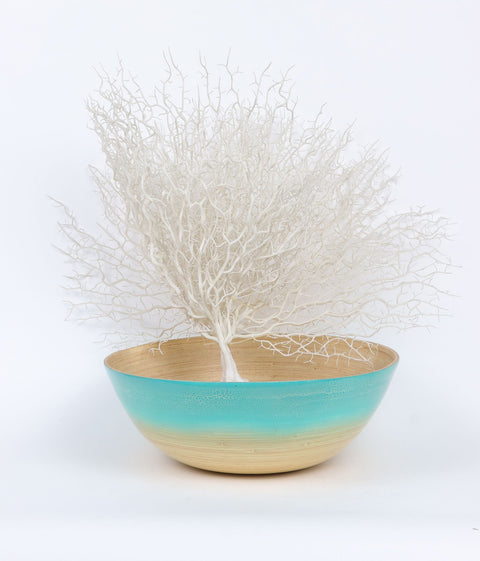 Décor en forme de bol 13''x4.625"