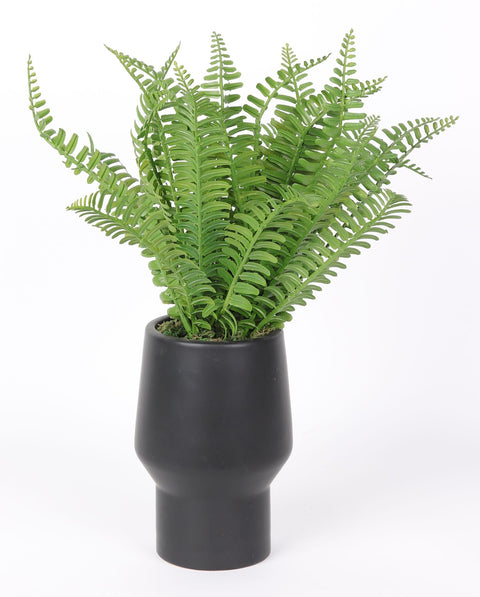 Faux Fern in Black Pot Decor: Bring a Natural Element to Your Home with this 4x6" Piece