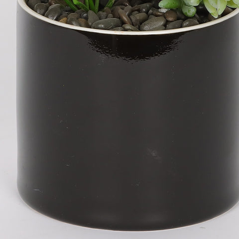 4*7"Greenery Décor