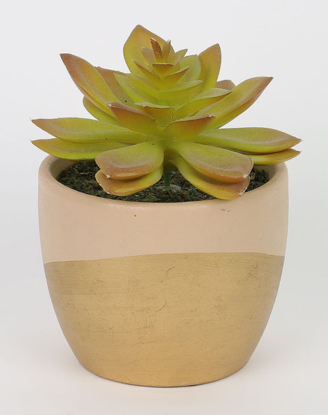 4*5''Greenery Succulent Arrangement Décor