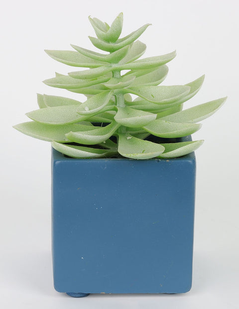5*6.25''Greenery Succulent Arrangement Décor